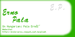 erno pala business card